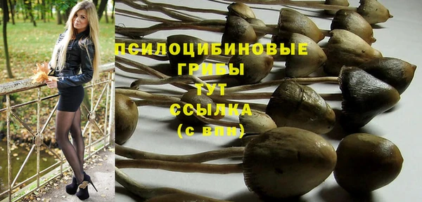 мескалин Осташков
