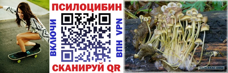 Галлюциногенные грибы MAGIC MUSHROOMS закладка Дербент